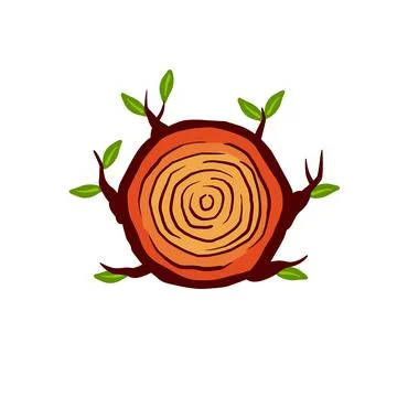 Cut tree trunk. Stump cross section. Concentric circular pattern on wood. Stock Illustration