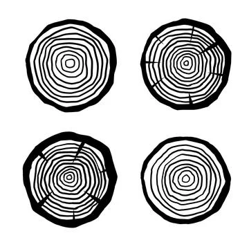 Cut tree trunk. Stump cross section. Concentric circular pattern on wood. Stock Illustration