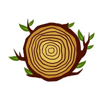 Cut tree trunk. Stump cross section. Concentric circular pattern on wood. Stock Illustration