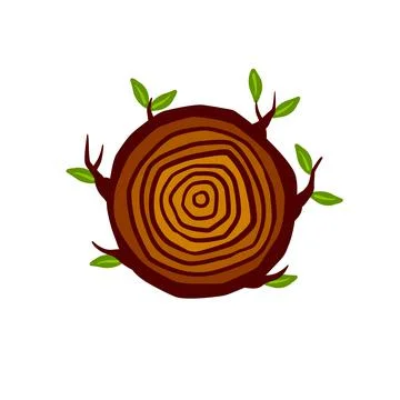 Cut tree trunk. Stump cross section. Concentric circular pattern on wood. Stock Illustration