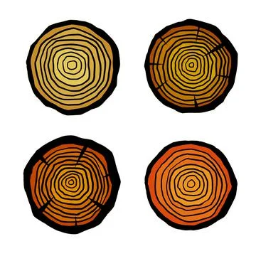 Cut tree trunk. Stump cross section. Illustrazione stock