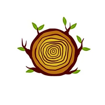 Cut tree trunk. Stump cross section. Concentric circular pattern on wood. Stock Illustration