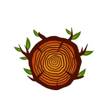 Cut tree trunk. Stump cross section. Concentric circular pattern on wood. Stock Illustration