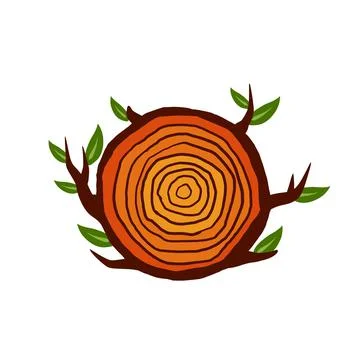 Cut tree trunk. Stump cross section. Concentric circular pattern on wood. Stock Illustration