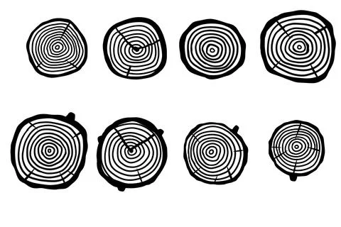 Cut tree trunk. Stump cross section. Concentric circular pattern on wood Stock Illustration