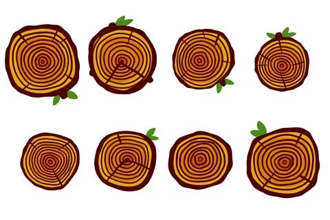 Cut tree trunk. Stump cross section. Concentric circular pattern on brown woo Stock Illustration