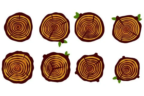 Cut tree trunk. Stump cross section. Concentric circular pattern on brown woo Stock Illustration