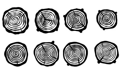 Cut tree trunk. Stump cross section. Concentric circular pattern on wood Stock Illustration