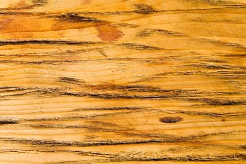 A cut of a tree with a unique pattern. Foto stock