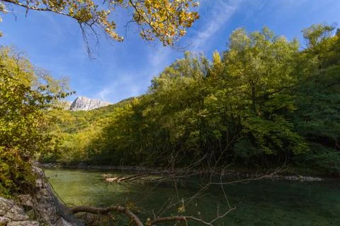 Cut trees in Voidomatis river in Zagorochoria, Greece Stock Photos