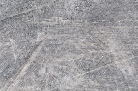 A cut in the trunk of an old tree. Gray. Stock Photos