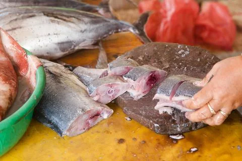 Cut tuna fish on the table of a fish seller in the fish market. Raw tuna.The Stock Photos
