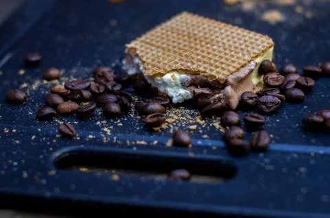Cut of vanilla, chocolate and cream ice cream next to waffles and coffee bean Stock Photos