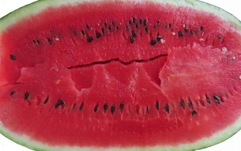 The cut watermelon Stock Photos
