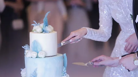 Cut the wedding cake. The bride and groom cut the wedding cake. Detail of Stock Footage 196007035