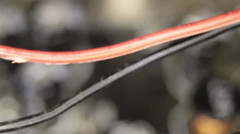 Cut Wire 2 Stock Footage 43844167