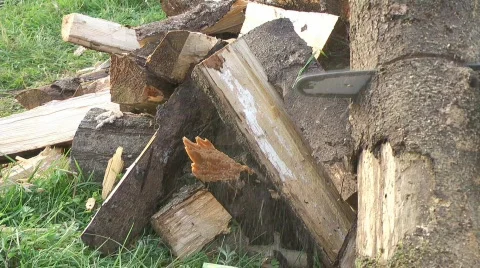 Cut wood with axe Video stock 848155