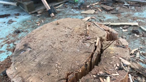 Cut wood Stock Footage 144342952