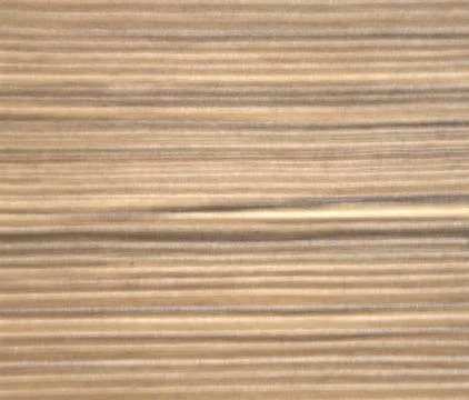 Cut wood, natural. Texture. Background. Natural light. Stock Illustration