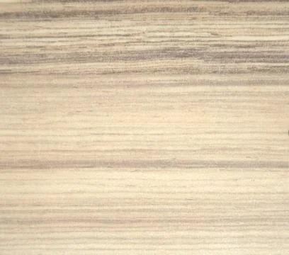 Cut wood, natural. Texture. Background. Natural light. Stock Illustration
