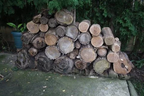 Cut up wood Foto stock