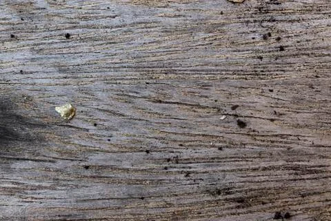 Cut wood Stock Photos