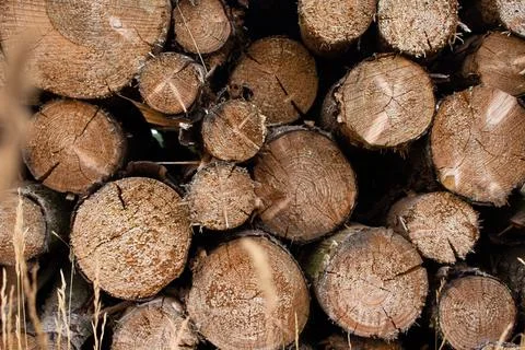 Cut wood round stack Stockfoto's