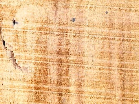 Cut wood surface as texture Stock Photos