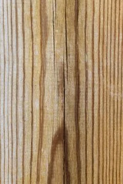 Cut wood texture Stock Photos