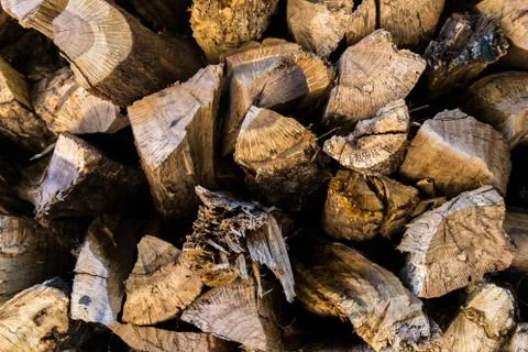 Cut wood trunks Stock Photos