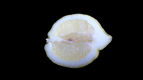 Cut Yellow Lemon - Macro Close up View on a Black Background Stock Footage 90220150