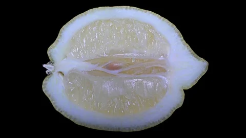Cut Yellow Lemon - Macro Close up View on a Black Background Stock Footage 90220153