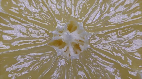 Cut Yellow Lemon - Macro Close up View on a Black Background Stock Footage 90220160