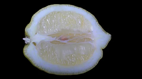 Cut Yellow Lemon - Macro Close up View on a Black Background Stock Footage 90220173