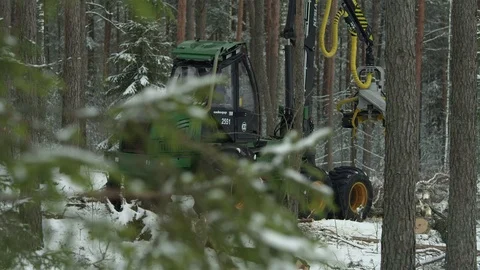 Cutaway of a forwarder working in the forest Stock Footage 70705923