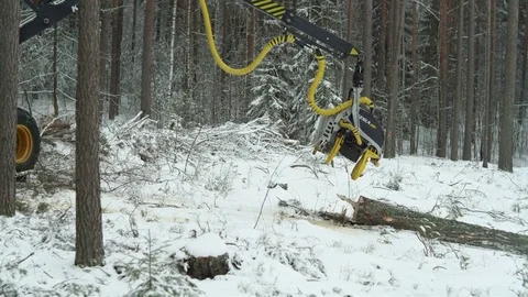 Cutaway of a green forwarder working in the forest in winter Stock Footage 70705352