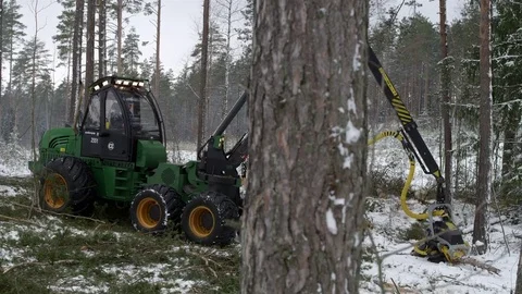 Cutaway of a green forwarder working in the forest Stock Footage 70705831