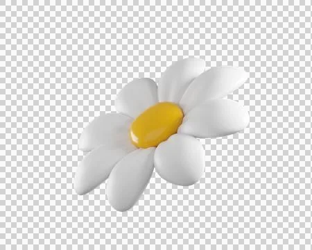 Cute 3D Daisy Flower Stockillustratie