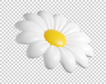 Cute 3D plastic Daisy Flower Stock Illustration