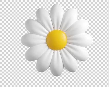 Cute 3D plastic Daisy Flower Stock Illustration