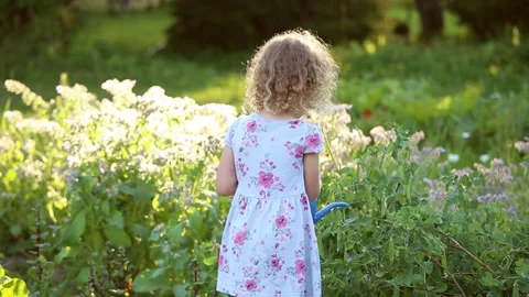 Cute 5 year old curly hair girl watering sweet pea plants in summer. Stock-Footage 147330002
