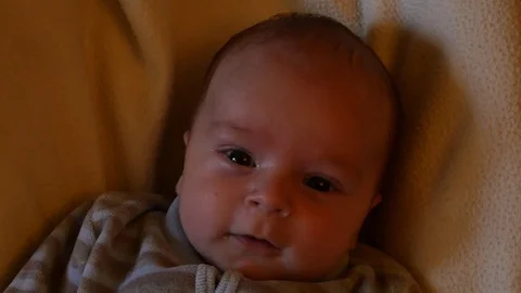 Cute 7 weeks old newborn baby waving with hand Stock Footage 73131404