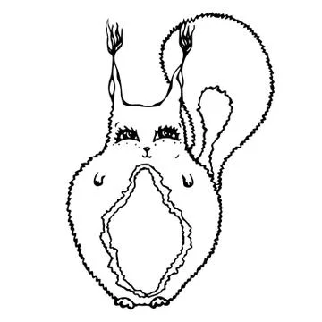 Cute Adorable Squirrel. Isolated On a White Background Doodle Cartoon Hand Drawn Stock Illustration