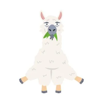 Cute alpaca eat grass vector Stock Illustration