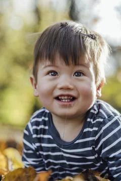 Cute and Content Fotos Stock