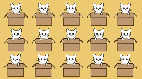 Cute and fun Cat dancing n the box Stock Footage 155178548