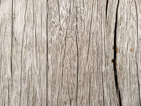 Cute and Organized Patterns Foto stock