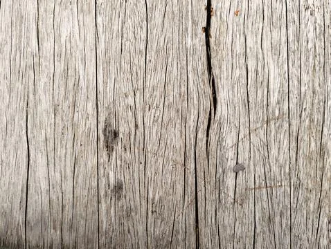 Cute and Organized Patterns Foto stock