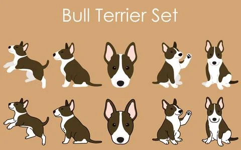Cute and simple dark brown Bull Terrier illustrations set Stock Illustration