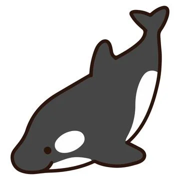 Cute and simple illustration of killer whale swimming Stock Illustration